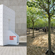 Illustration for article titled Forest In a Box